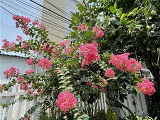 Phòng cho thuê rộng 25m2, gần trường đại học ngoại ngữ, trung tâm thành phố đà nẵng,