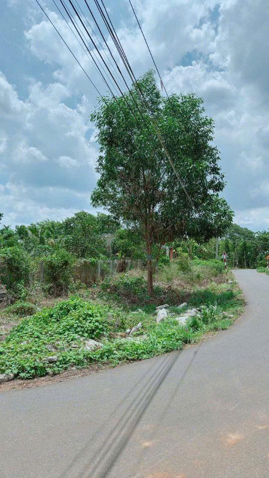 Bán đất mặt tiền Căn góc 336m2 ở xã Kim Long sổ đỏ giá 1 Tỷ 8