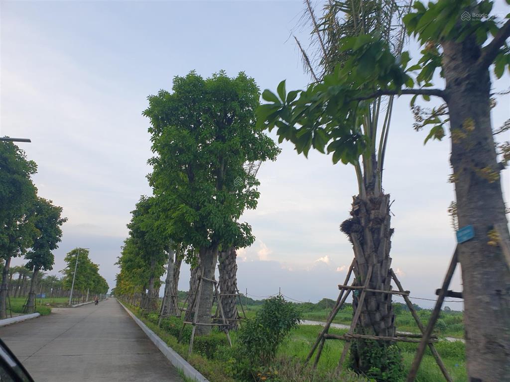 Cần bán một số lô đất đẹp dự án khu sinh thái cẩm đình, phúc thọ, hà nội giá hợp lý