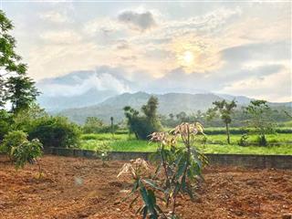 Thanh khoản lô đất nghỉ dưỡng view cánh đồng diện tích 1534m2 thổ cư 200m2 tại vân hòa ba vì hn
