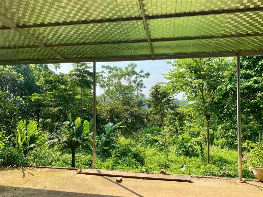 Chính chủ cần bán lô đất nghỉ dưỡng diện tích 975m2 thổ cư 150m2 tại yên bài, ba vì, tp hà nội