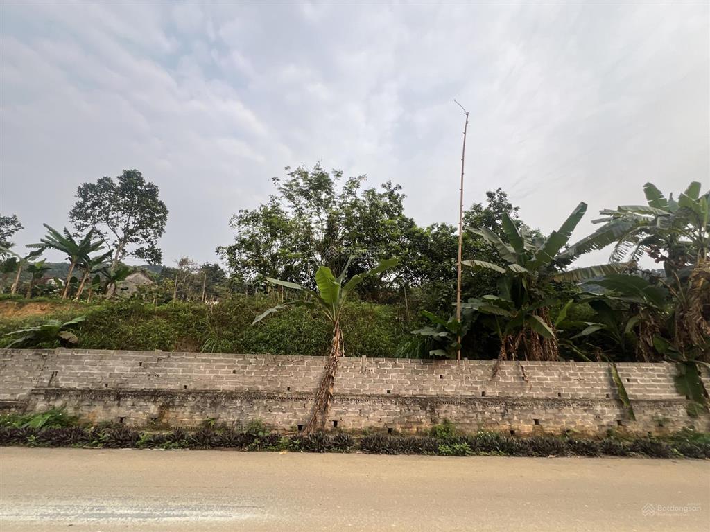 Chính chủ cần bán lô đất mặt đường trục chính suối mơ 540m2 thổ cư 150m2 tại yên bài, ba vì, hà nội