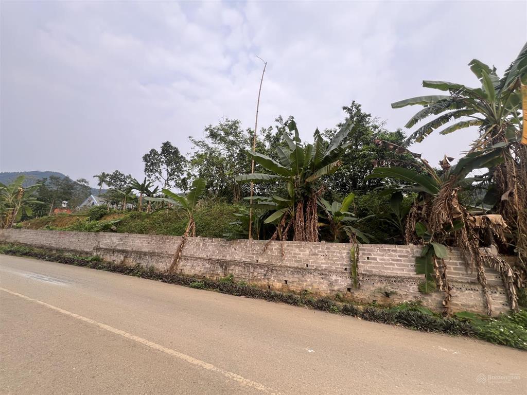 Chính chủ cần bán lô đất mặt đường trục chính suối mơ 540m2 thổ cư 150m2 tại yên bài, ba vì, hà nội