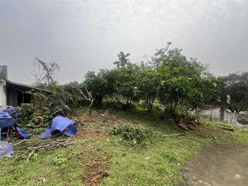 Chính chủ cần bán lô đất mặt đường trục chính suối mơ 540m2 thổ cư 150m2 tại yên bài, ba vì, hà nội