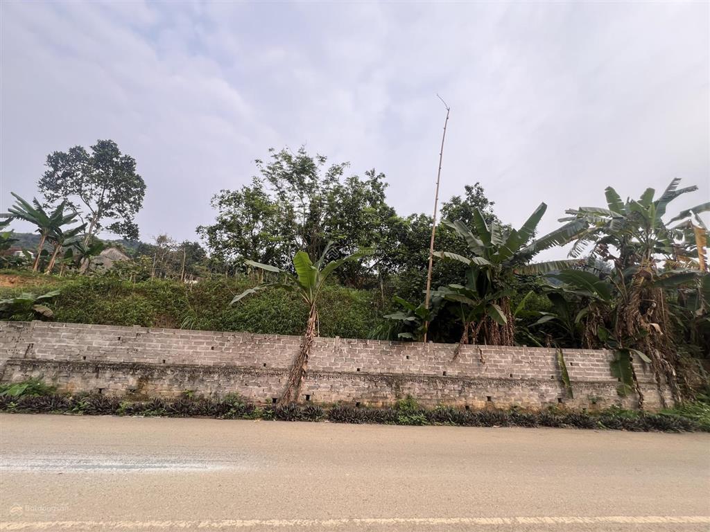 Chính chủ cần bán lô đất mặt đường trục chính suối mơ 540m2 thổ cư 150m2 tại yên bài, ba vì, hà nội