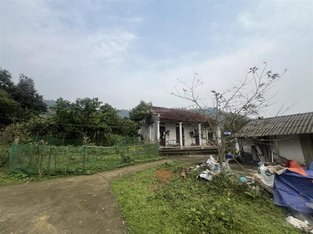 Chính chủ cần bán lô đất mặt đường trục chính suối mơ 540m2 thổ cư 150m2 tại yên bài, ba vì, hà nội