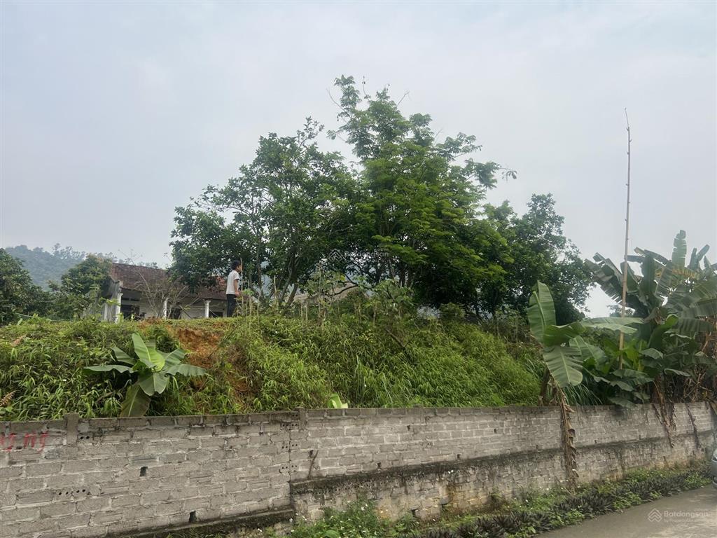 Chính chủ cần bán lô đất mặt đường trục chính suối mơ 540m2 thổ cư 150m2 tại yên bài, ba vì, hà nội