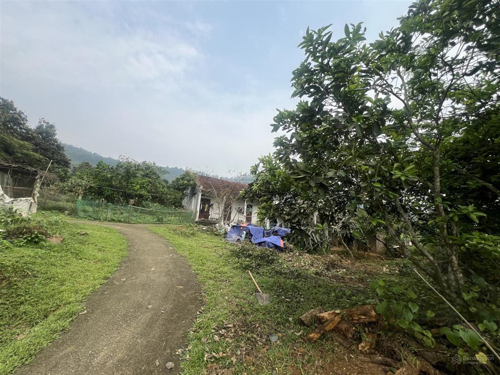 Chính chủ cần bán lô đất mặt đường trục chính suối mơ 540m2 thổ cư 150m2 tại yên bài, ba vì, hà nội