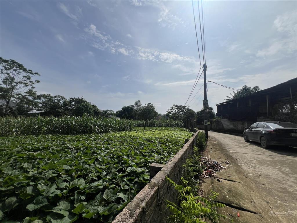 Chính chủ cần bán lô góc 2 mặt tiền diện tích1130m thổ cư 300m tại yên bài ba vì tp hà nội