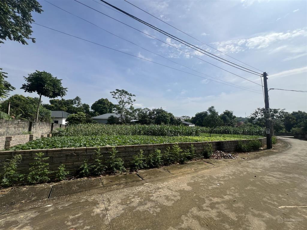 Chính chủ cần bán lô góc 2 mặt tiền diện tích1130m thổ cư 300m tại yên bài ba vì tp hà nội