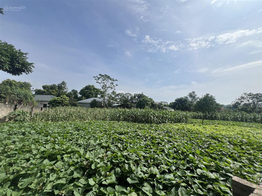 Chính chủ cần bán lô góc 2 mặt tiền diện tích1130m thổ cư 300m tại yên bài ba vì tp hà nội