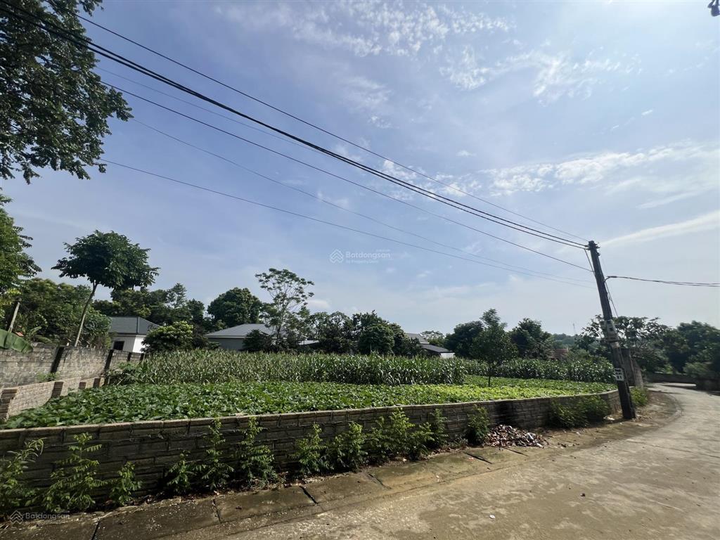 Chính chủ cần bán lô góc 2 mặt tiền diện tích1130m thổ cư 300m tại yên bài ba vì tp hà nội