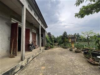 Giá chủ cần bán 200m2 phun thổ cư mặt tiền 5.5m sâu hết đất tại yên bài ba vì tp hà nội