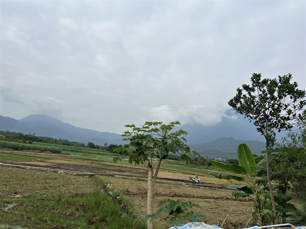 Chính chủ cần bán đất 723m thổ cư 150m mặt tiền 17m có sẵn khuôn viên tại yên bài ba vì tp hà nội