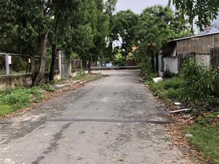 Chính chủ cho thuê gấp kho xưởng rẻ đẹp đường bưng ông thoàn phú hữu q9 tp thủ đức