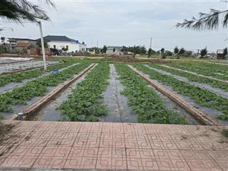 Chính chủ cần bán gấp mảnh đất đẹp ở quất lâm giá chỉ 1,5 tỷ