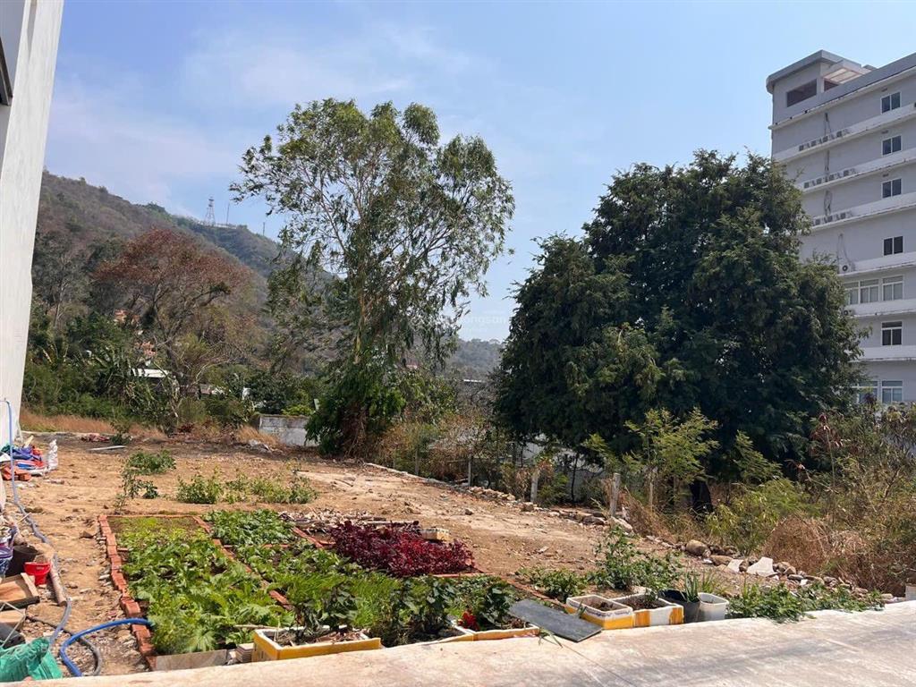 Bán đất biệt thự sát biển bãi dâu trần phú tp. vt 208m2(10x21m) giá 10,5 tỷ chốt