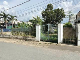 Bán đất tại lồ ô, bình an, dĩ an, bình dương, 4,8 tỷ, 198 m2
