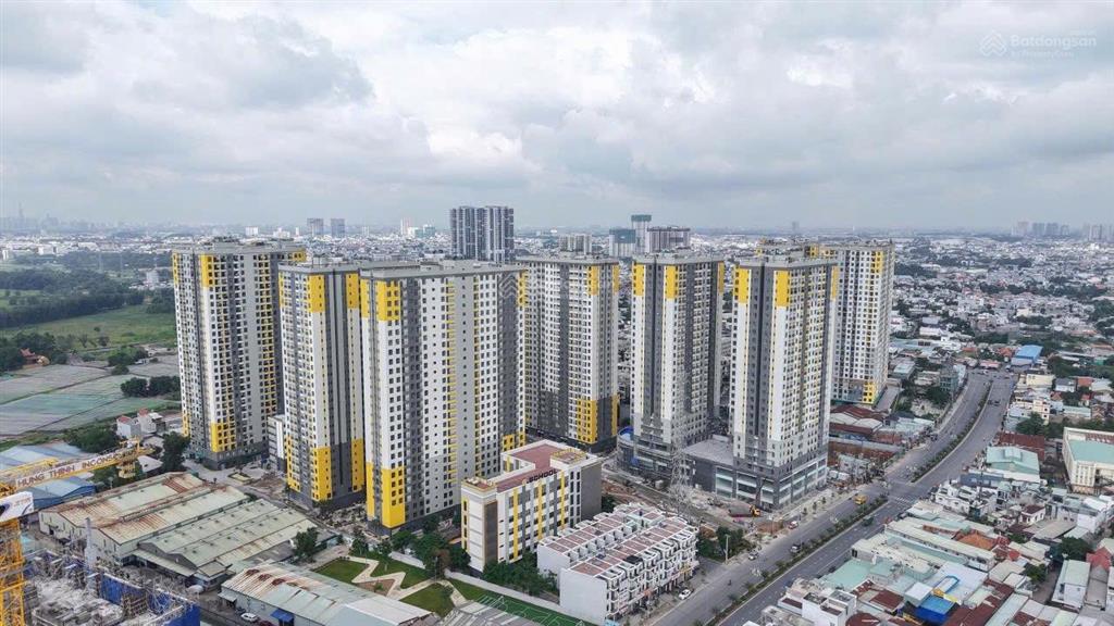 Tổng hợp giỏ hàng cho thuê cụm bcons  bcons city  plaza  topax