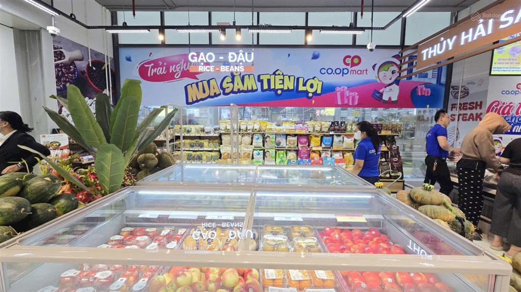 Tổng hợp giỏ hàng cho thuê cụm bcons  bcons city  plaza  topax
