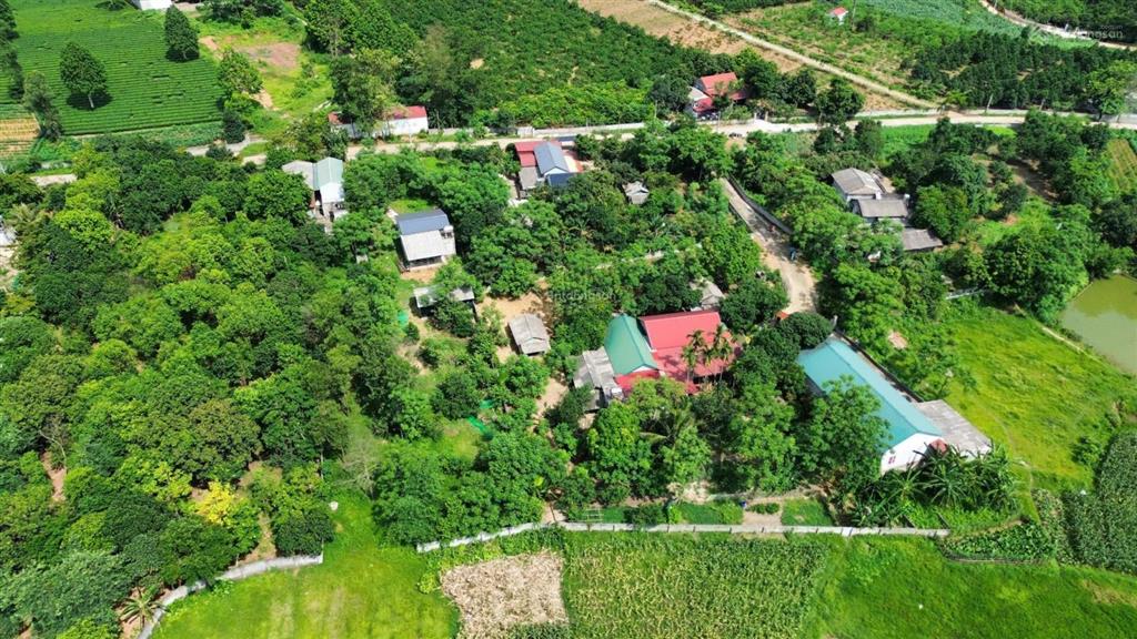 Bán lô đất khu 17 tu vũ thanh thủy phú thọ gần đường hcm