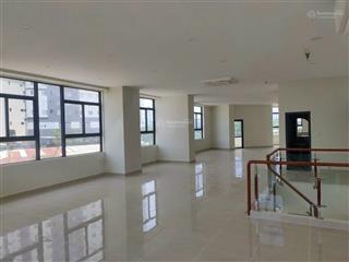 Bán shophouse gấp tại topaz elite, đường cao lỗ, 14.5 tỷ, 181m2, 4 wc