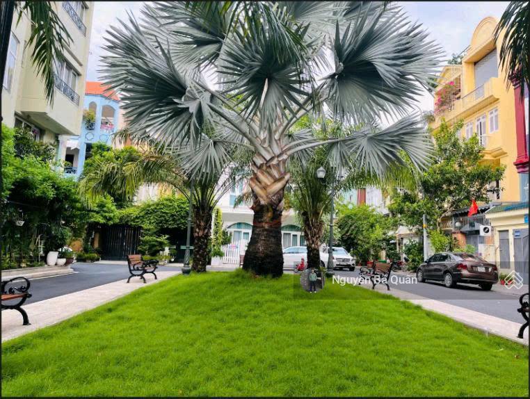 Biệt thự vườn lan (14.5x20) 781/ lê hồng phong, phường 12, quận 10