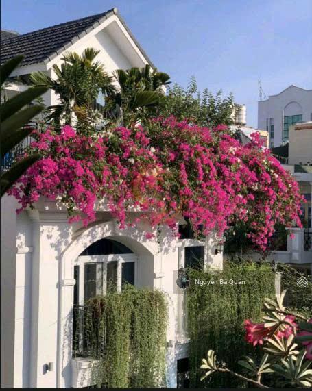 Biệt thự vườn lan (14.5x20) 781/ lê hồng phong, phường 12, quận 10