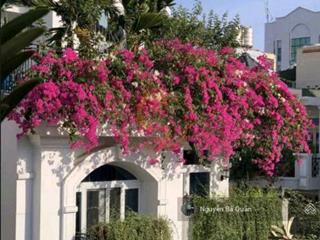 Biệt thự vườn lan (14.5x20) 781/ lê hồng phong, phường 12, quận 10