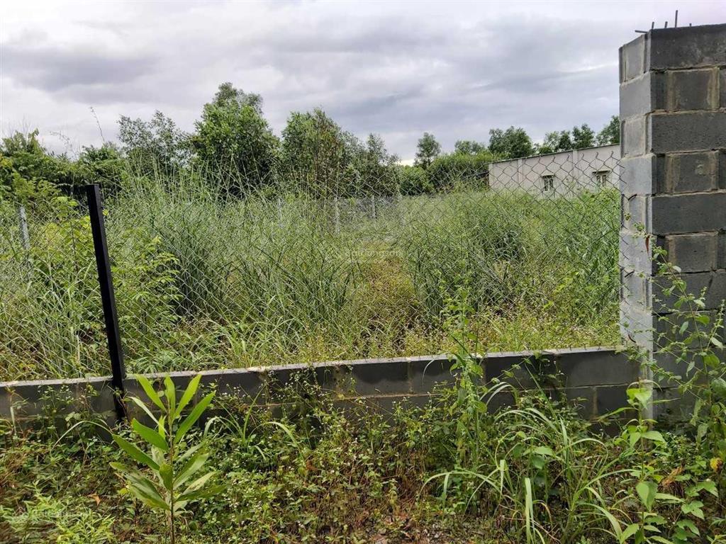 Cần bán 500m2 đất trồng cây lâu năm cạnh đường hùng vương xã phước an nhơn trạch đồng nai