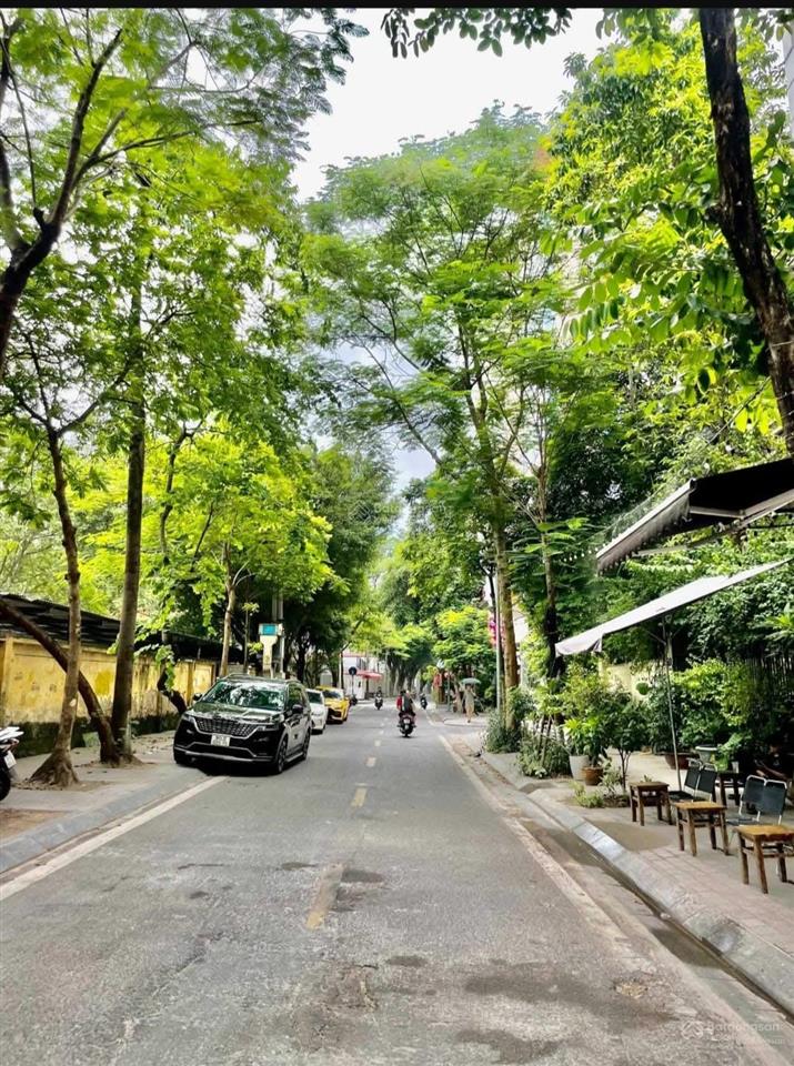 Bán giá rẻ nhất nhà ngõ 12 đào tấn linh lang ba đình oto tránh dòng tiền 58m 6 phòng cho thuê full