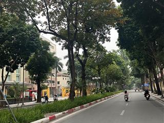 Bán gấp biệt thự riêng phố nguyễn tri phương trần phú ba đình 130m mt 6m oto tránh đỗ kinh doanh