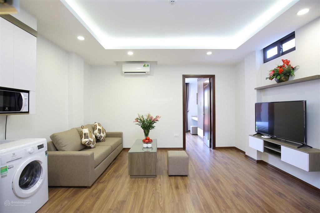 Căn hộ 1 ngủ rộng cho thuê tại phố đào tấn, gần lotte