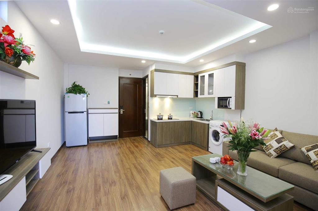 Căn hộ 1 ngủ rộng cho thuê tại phố đào tấn, gần lotte