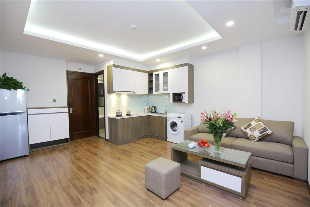 Căn hộ 1 ngủ rộng cho thuê tại phố đào tấn, gần lotte