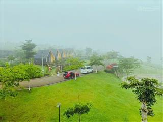 Đất nền khu nghỉ dưỡng homestay đồi chè tâm châu bảo lộc