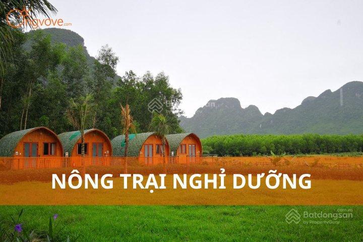 Bán lô đất 3.9 ha view sông có cafe & sầu riêng đang thu hoạch ninh gia, lâm đồng 350 tr/sào