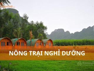 Bán lô đất 3.9ha view sông có cafe & sầu riêng đang thu hoạch ninh gia, lâm đồng 350tr/sảo