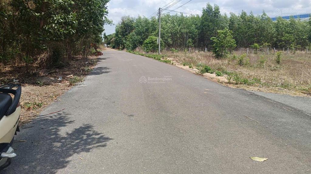 Cần bán gấp 20 ngày cơ hội vàng