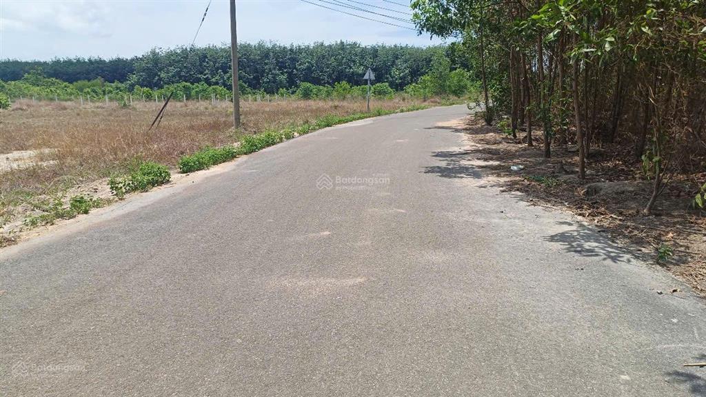 Cần bán gấp 20 ngày cơ hội vàng