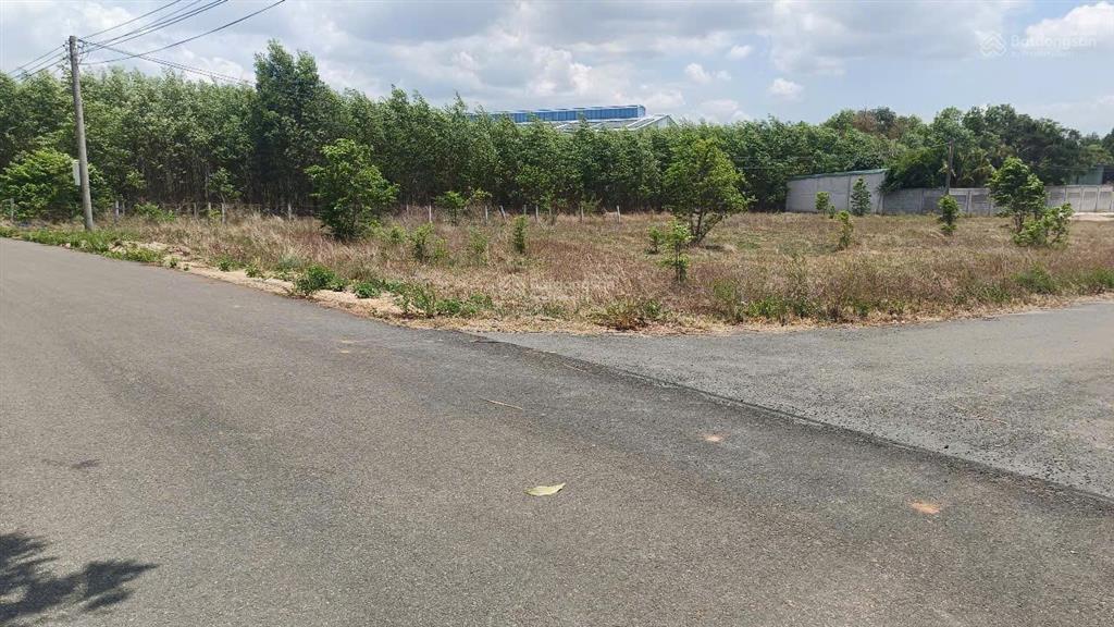 Cần bán gấp 20 ngày cơ hội vàng