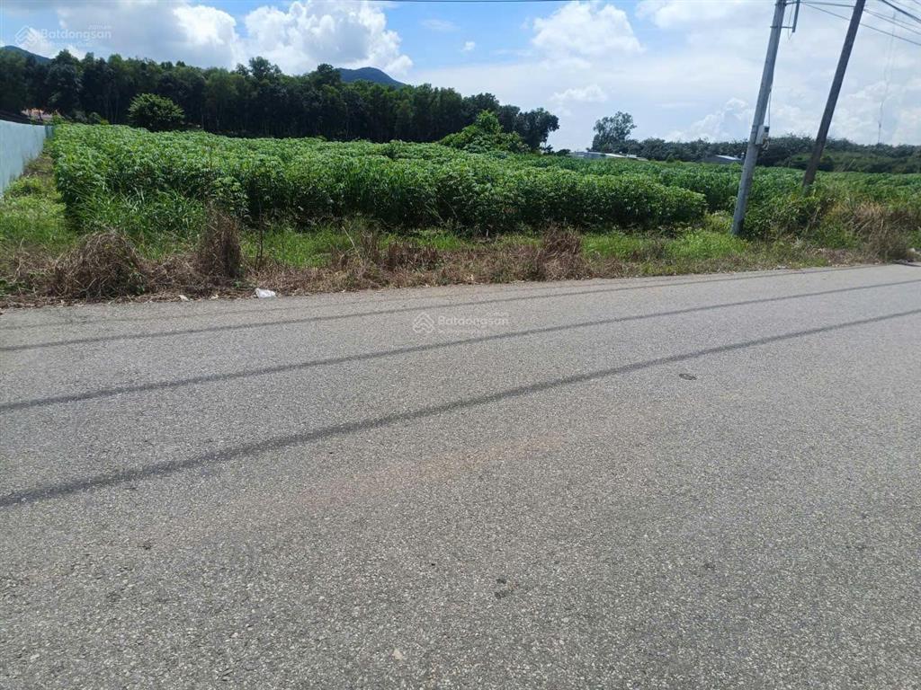 Cơ hội độc quyền  giá tốt nhất khu vực