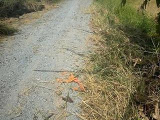 Giá sốc chỉ 580 triệu! chủ ngộp bank cần bán gấp lô đất 100m2 gần kdc sài gòn riverpark