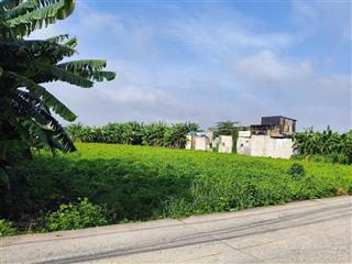 Bán gấp 2.000 m2 đất ở vĩnh lộc b  bình chánh, dt 40 x 50m, tách 2 sổ mỗi sổ 20x50m