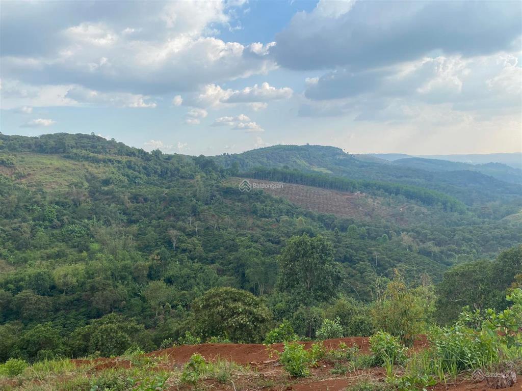 Bán 2,5 ha, 500m đường bê tông tại trung tâm thị trấn kiến đức, đắk nông