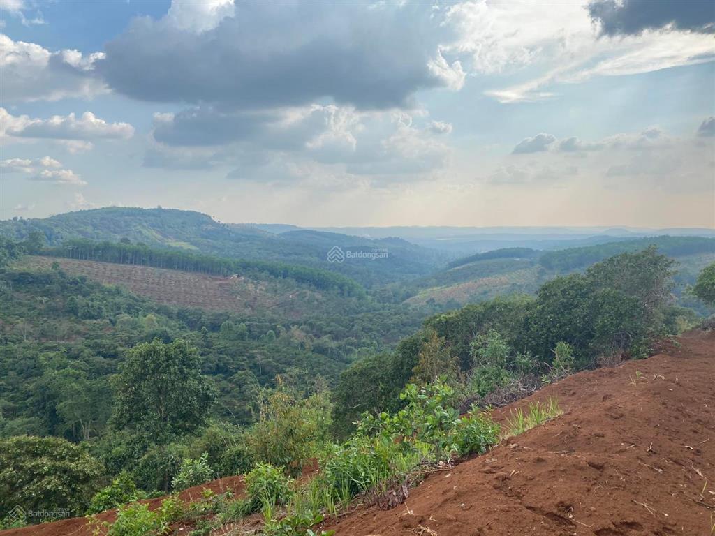 Bán 2,5 ha, 500m đường bê tông tại trung tâm thị trấn kiến đức, đắk nông