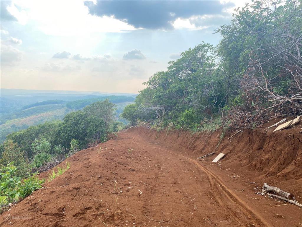 Bán 2,5 ha, 500m đường bê tông tại trung tâm thị trấn kiến đức, đắk nông