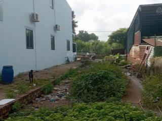 Bán gấp lô đất 99.8m2 giá 1tỷ6 đường huỳnh thị mài cách nhà máy nước tân hiệp hóc môn chỉ 200m