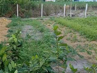 Anh trai cần bán gấp lô đất 90m2 giá 300triệu cách đường dt782 300m gần khu công nghiệp phước đông