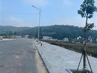 Chính chủ bán lô đầu ve, ve nội bộ lk17 và lk11 tại mb520 rừng thông đông sơn
